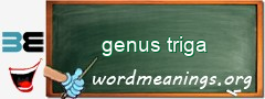 WordMeaning blackboard for genus triga